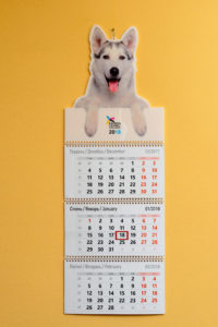 Квартальный календарь стандарт с пластиковой шапкой и УФ печатью.