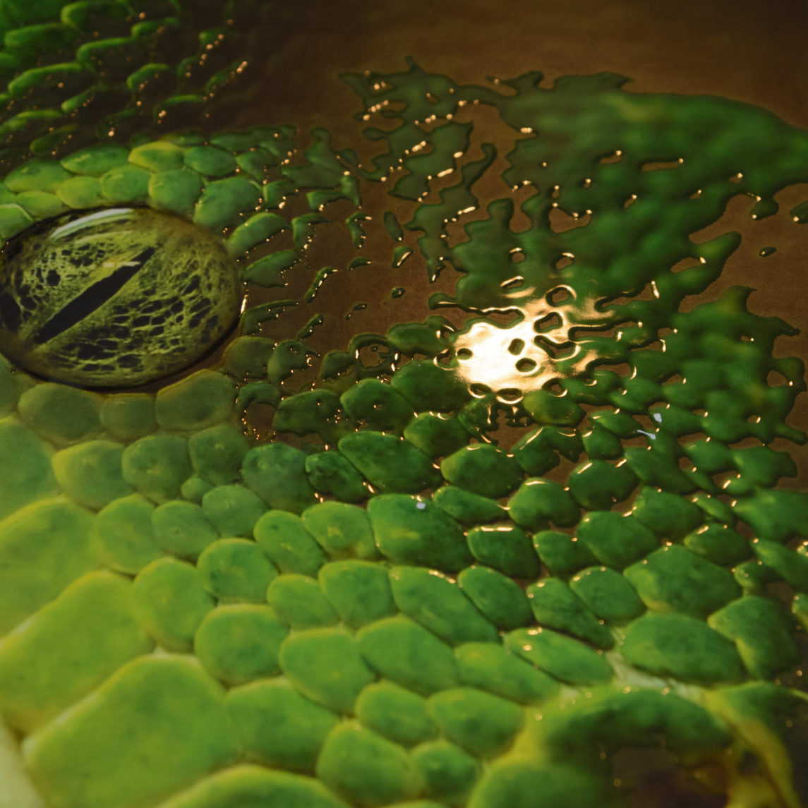 Рельєф шкіри з об'ємним лаком